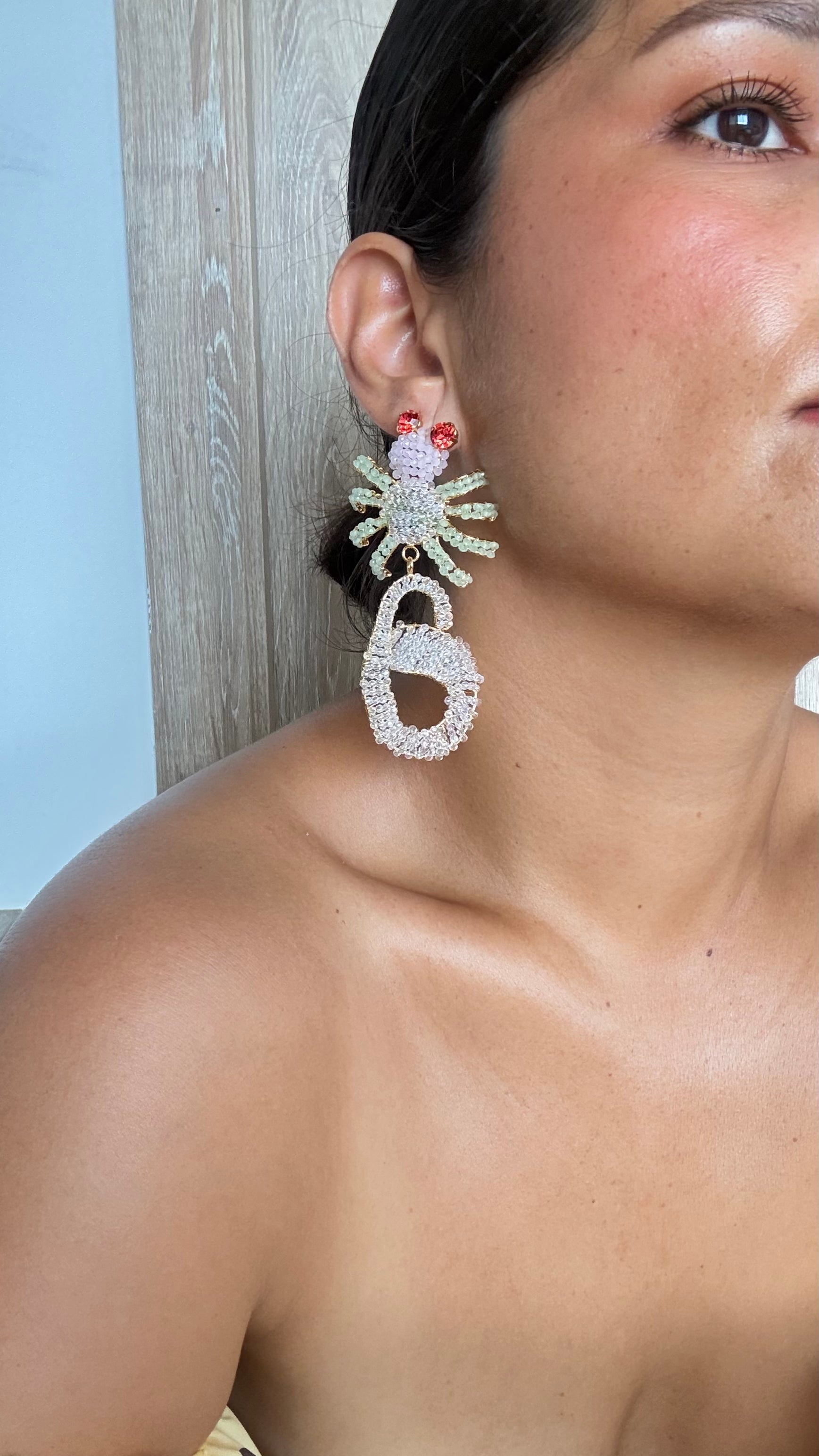 Aretes Araña G
