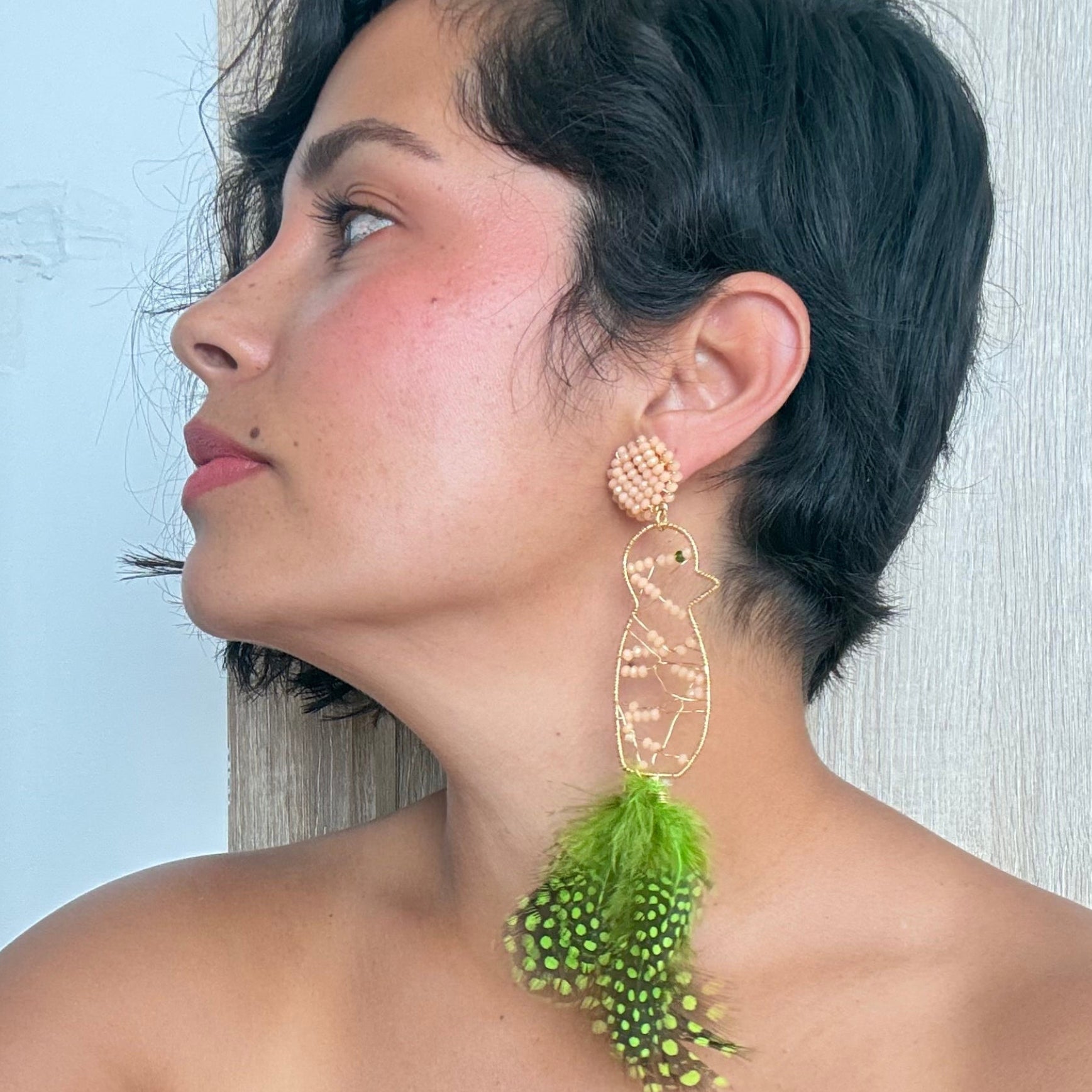 Aretes Loros