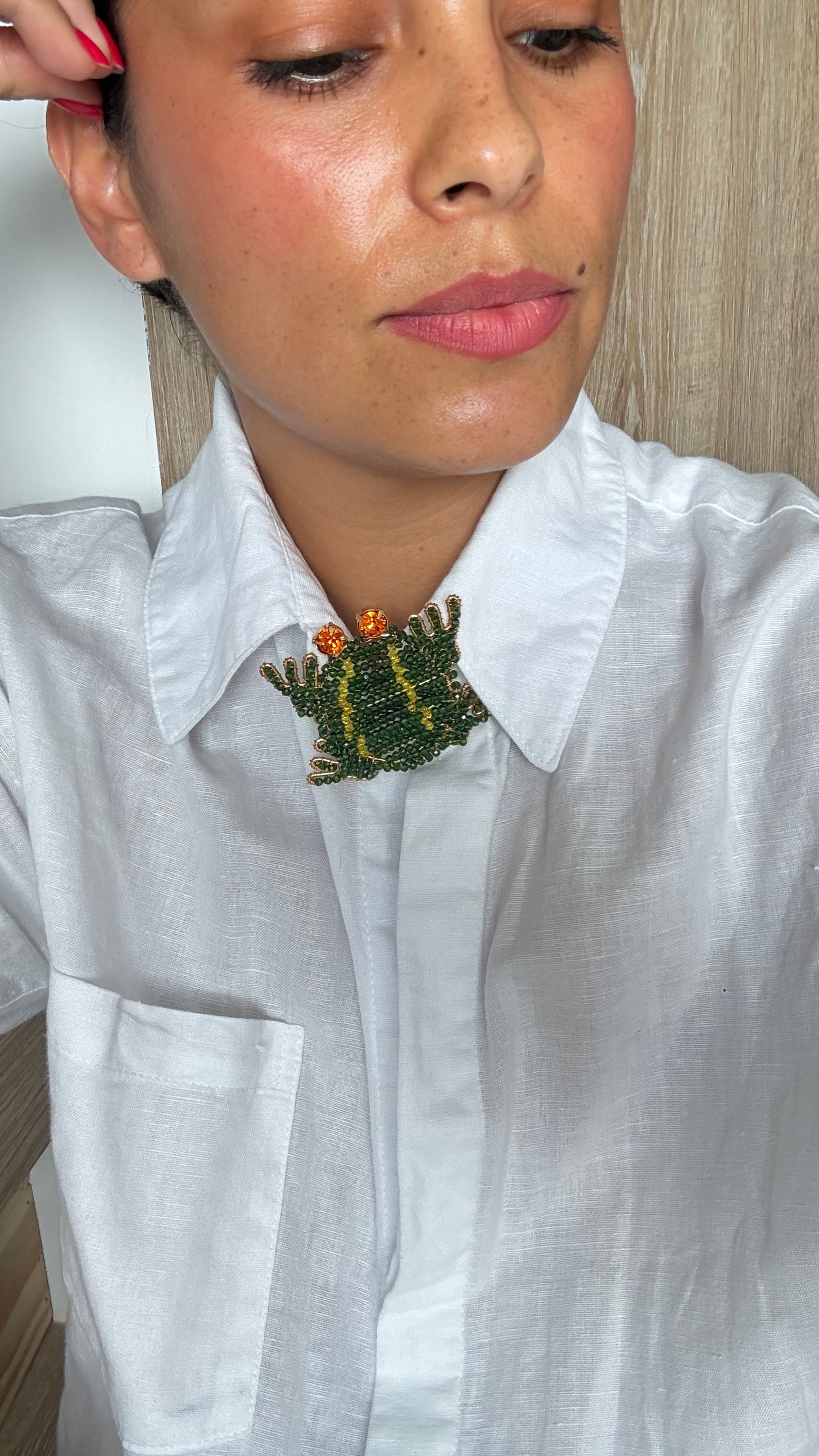 Corbata Sapo