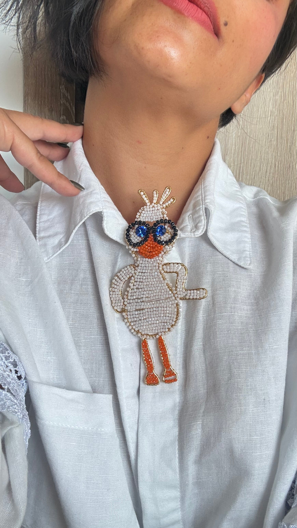 Corbata Pato